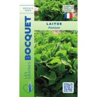 Laitue Panisse - 2g