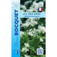 Ail des ours – Plante vivace aromatique – Exposition ombre – Semis de mars à juin – Récolte des fleurs et feuilles au besoin – Graines Bocquet