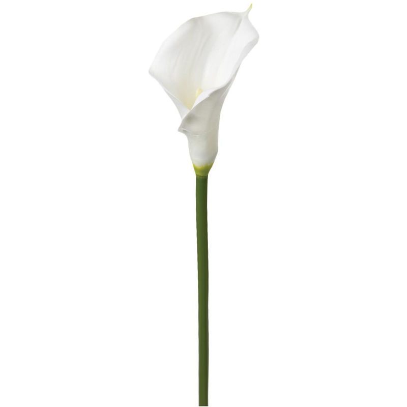 Atmosphera Fleur Artificielle Tige Arum Blanc H 75 Cm