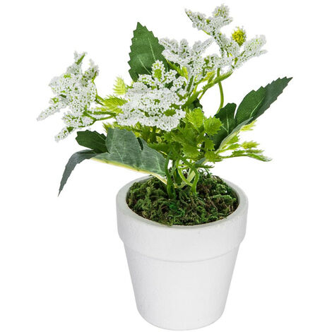 Atmosphera - Plante artificielle Fleurs blanches en pot H 16 cm - Blanc