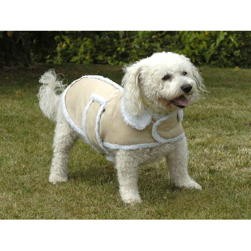 ASTUCEO - Manteau pour chien grands froids