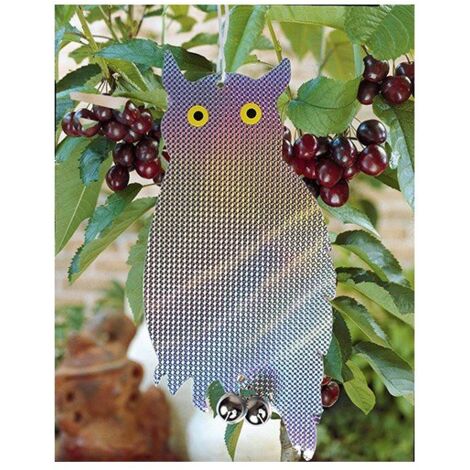 ASTUCEO - Chouette Epouvantail holographique - Lot de 2