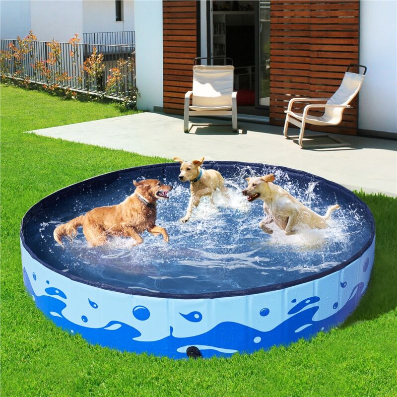 Piscine Pliable Pour Chien – PVC Renforcé 120 X 30 Cm – Fond Antidérapant – Sans Gonflage – Pour Chien, Enfant, Extérieur – Bleu