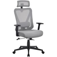 Yaheetech Chaise Bureau Ergonomique Respirante Fauteuil de Bureau en Maille Support Lombaire et Siège Inclinaible Appui-tête Accoudoirs Réglables roulettes pivotantes Charge 136 kg Gris Clair