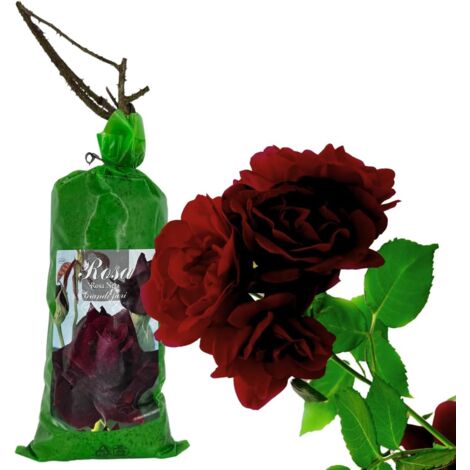 Idea-station Vaso Per Piante In Plastica [3 X 14 C] - Antracite - Vasi - Foto 7