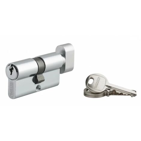 Cylindre de serrure 30x30mm en aluminium – Mécanisme à 5 goupilles – Panneton anti-arrachement – 3 clés en acier nickelé – SP