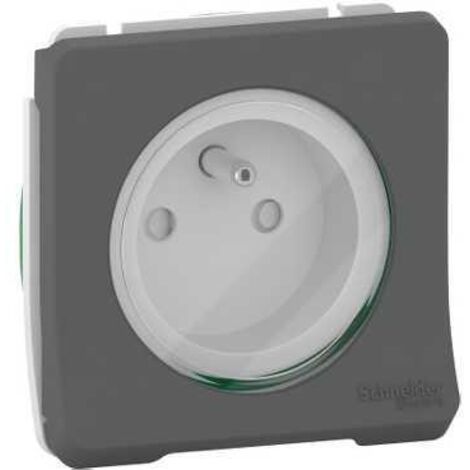 Schneider Electric – Prise de courant composable 2P+T à vis – IP55 – IK08 – gris RAL 7016 – Mécanisme auto-extinguible pour chantiers humides