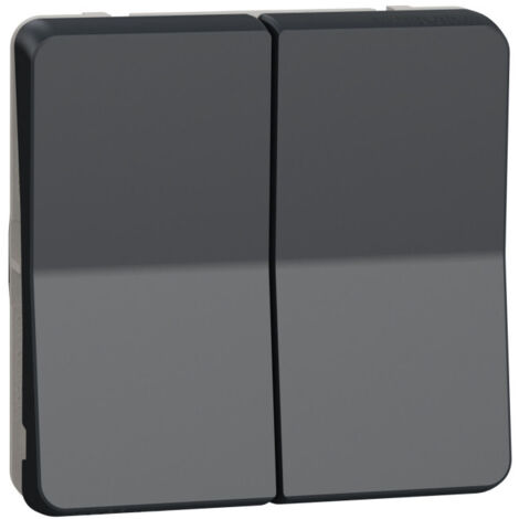 va et vient - double - gris - composable - mureva styl - schneider electric mur35019