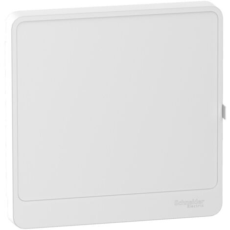 Schneider Electric – Porte de coffret électrique opaque 1 rangée 13 modules – IP40 – Résistance aux chocs IK08 – Compatible coffrets Resi9 – R9H13421