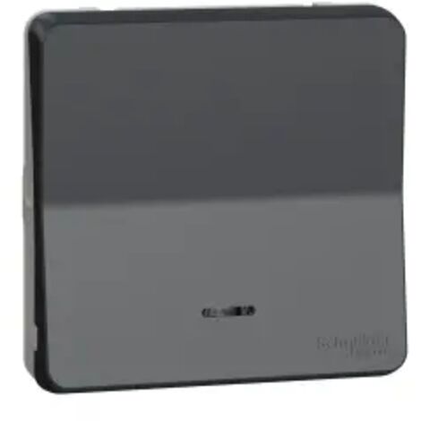 Interrupteur va et vient lumineux LED MUREVA STYL composable gris SCHNEIDER ELECTRIC MUR35025