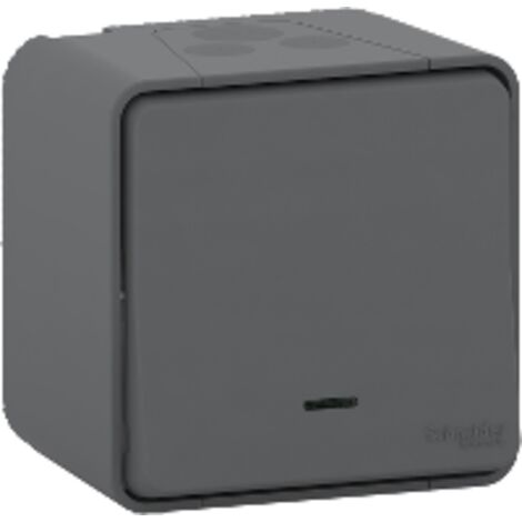 Schneider Electric MUR35028 BOUTON POUSSOIR LED GRIS SAILLIE (1/10)