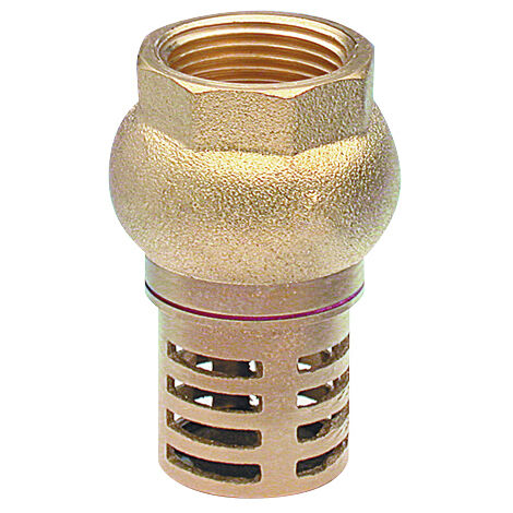 Noyon & Thiebault – Crépine à clapet femelle 26x34 mm – Filetage plomberie – Pour éviter la pollution et perte de charge – Utilisation verticale uniquement - 1320-26L1 (1/5)