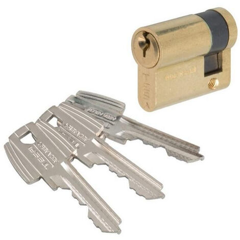 Cylindre entrouvant TESA n°clef 97856 B Laiton - 50303010L 97856 (1/4)
