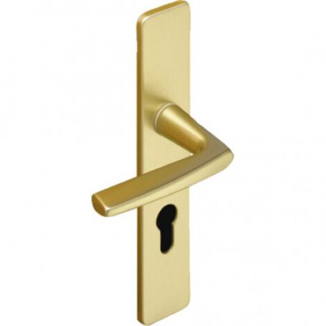 Vachette – Ensemble de poignées de porte sur plaque RIVIERA – Aluminium anodisé – Entraxe 195mm – Saillie 58mm – Compatible portes 40mm