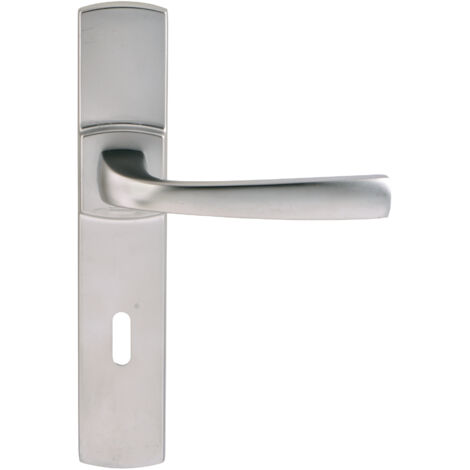 Vachette MUZE poignée de porte chromé velours zamak