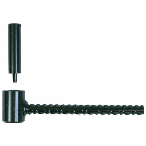 40 Gonds de volet Béton cellulaire D. 10 x 150 mm - Clav. D. 14 mm - Simple volet - Noir