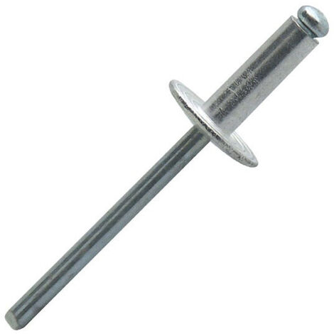 Scell-It – Boîte de 250 rivets aveugles tête large en aluminium et acier – 4.8 x 20 mm – Cisaillement 1580N – ASL4820