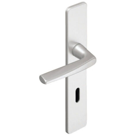 Ensemble de porte Riviera 90 BEZAULT Entraxe 195 mm Champagne - Bec de cane condamnation - 0118220