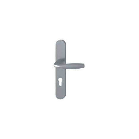 Ensemble de porte plaque large New york Clé i aspect inox F9 HOPPE - 1810/300M - 195mm - entr.7/70 C.7mm - 48/57 - 3540109 (1/3)