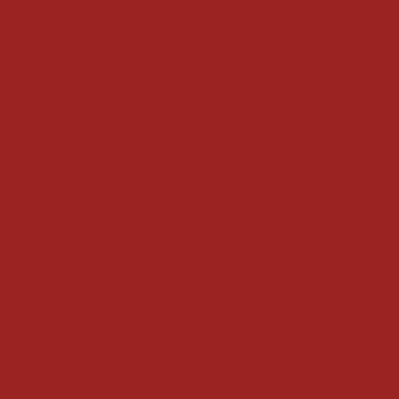 Bombe de peinture Rouge rubis - 400ml - Qualité Professionnelle - Ferry :  : Bricolage