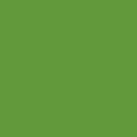 Bombe de peinture vert jaune ral 6018
