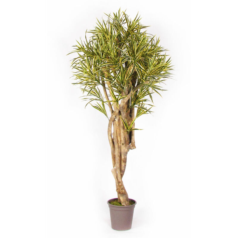 Outsunny Pianta Tropicale Decorativa Dracena Finta in Plastica con