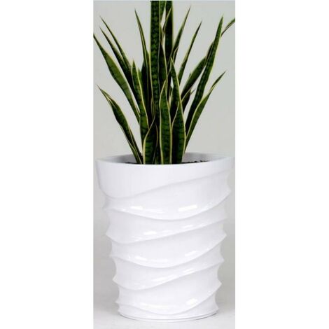 Areca su vaso bianco lucido