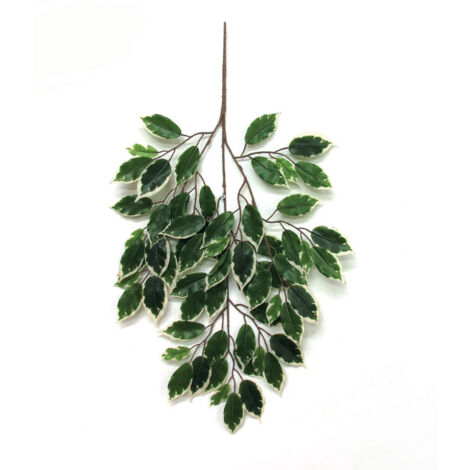 Ramo Di Ficus Exotica Artificiale Sunil – 55 Foglie, 75 Cm – Pianta Decorativa In Tessuto - 2