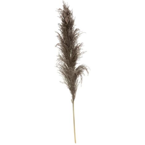 Juego de 3 flores secas «Pampa brune» H110 cm - Atmosphera créateur d'intérieur