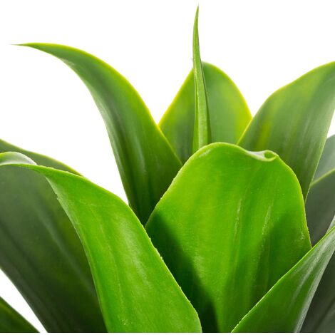 ATMOSPHERA CREATEUR D'INTERIEUR Créateur d'intérieur - Plante Artificielle en Pot Aloe Vera 44cm Vert pas cher