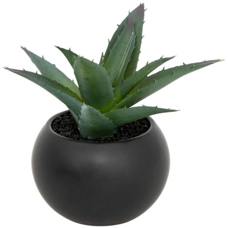 Planta gorda en maceta H13 - Atmosphera créateur d'intérieur
