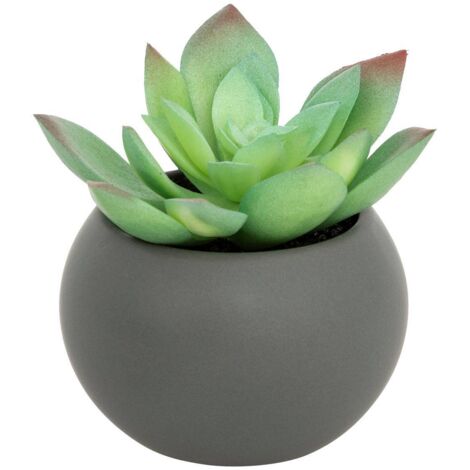 Planta gorda en maceta H13 - Atmosphera créateur d'intérieur