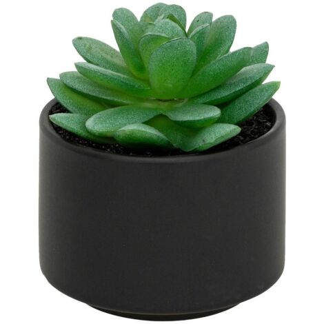 Planta gorda en maceta H13 - Atmosphera créateur d'intérieur