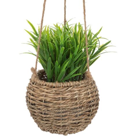 Zoe-Pflanze zum Aufhängen H17cm -