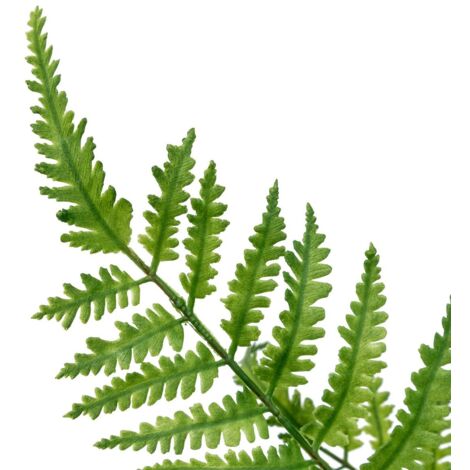 Stngel knstlicher Farn James Grn H90cm - Atmosphera crateur d'intrieur