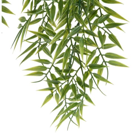rovawee dracaena Large Dracaena Warneckii White Jewel