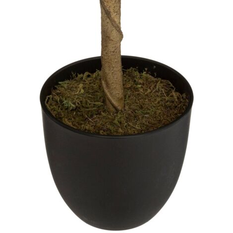 Kunstpflanze Zitronenbaum im schwarzen Topf, H. 73 cm