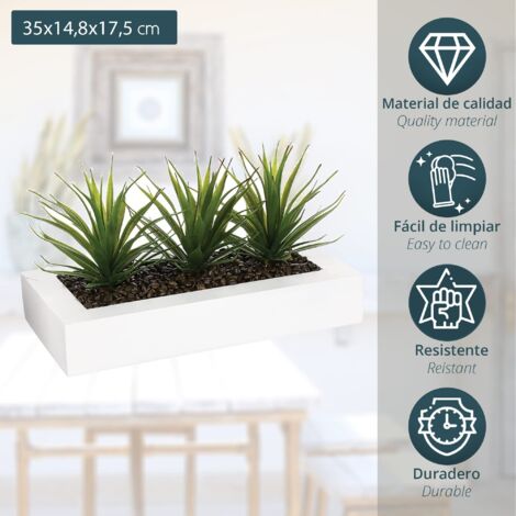 aloe vera plant tree Aloe Vera – Texas Tree Farms main image 0