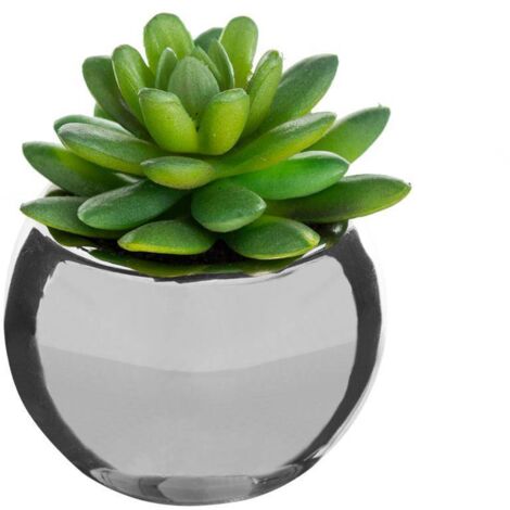 Grünpflanze Keramiktopf H.15 -