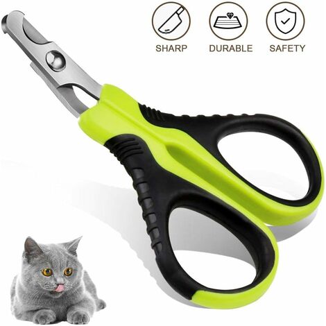 Buy THE DDS STORE Dog Cat Nails Clippers Dog Claw Clippers for Large to  Small Breeds with Free Nail File, Professional Cat Nail Clippers with  Safety Guard to Avoid Over Cutting Suitable