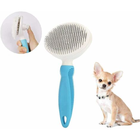 Chihuahua hair brush cheap