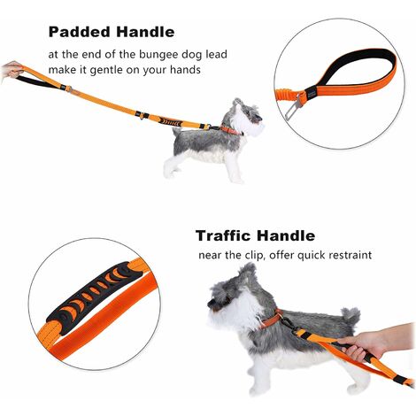 Long hotsell pet leash