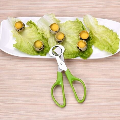 Quail Egg Scissors, Stainless Steel Egg Cutter, Small Quail Egg Scissors  Quail Eggs, Stainless Steel Quail Egg Scissors, Quail Egg Opener For Home,  Re