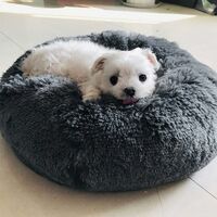Round Dog and Cat Basket Plush Soft and Comfortable Donut Cat Warm Fluffy Puppy Bed for Winter Sleeping - 50cm