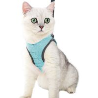 LangRay Cat Harness - Ultralight Cat Harness and Leash Set Leak Proof Adjustable Kitten Harness for Puppy Rabbit Ferret ��green �� S��