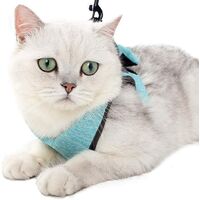 LangRay Cat Harness - Ultralight Cat Harness and Leash Set Leak Proof Adjustable Kitten Harness for Puppy Rabbit Ferret ��green �� M��