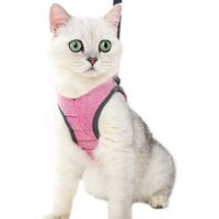 LangRay Cat Harness - Ultralight Cat Harness and Leash Set Leak Proof Adjustable Kitten Harness for Puppy Rabbit Ferret ��Pink �� M��