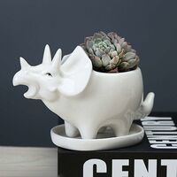 LangRay Succulent Pots with Drainage Tray 7 Inch Glazed White Ceramic Triceratops Pot for Indoor Succulent Planters Home Office Cactus Decor