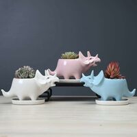 LangRay Succulent Pots with Drainage Tray 7 Inch Glazed White Ceramic Triceratops Pot for Indoor Succulent Planters Home Office Cactus Decor