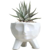LangRay White Ceramic Flower Planter Succulent Planter Pots Creative Modern Style Succulent Pots Artistic Face Shape Ceramic Cactus Bonsai Planter Pot